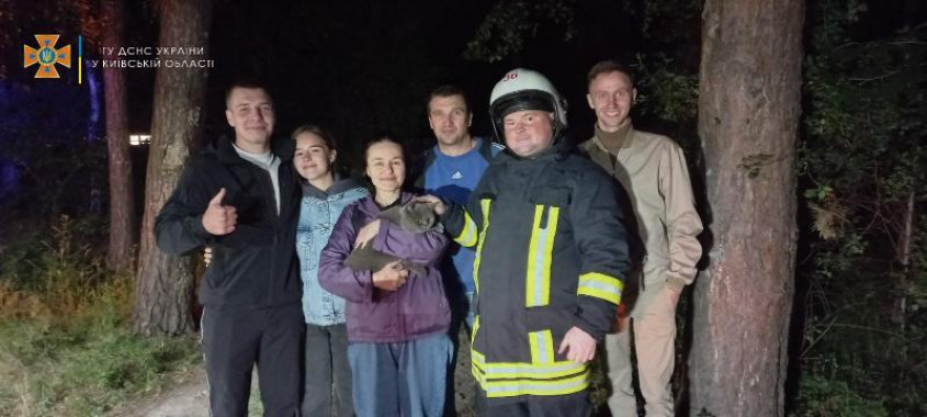 У Бучанському районі рятувальники зняли з дерева жінку, яка намагалася врятувати кота