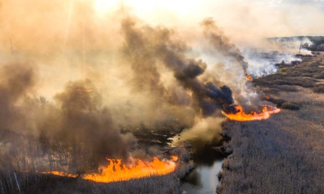 У Чорнобильській зоні відчуження вигоріло понад 22 тисячі гектарів, - екологи