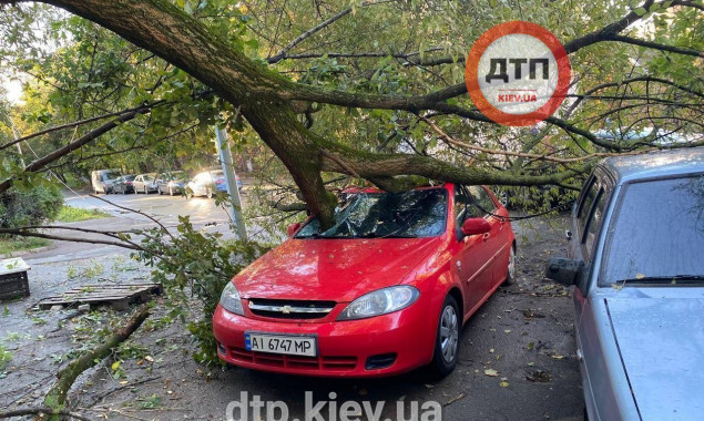 Недільна негода у столиці: повалені дерева, пошкоджені авто