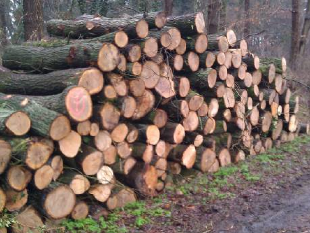 Бориспільська мерія шукає постачальника дров