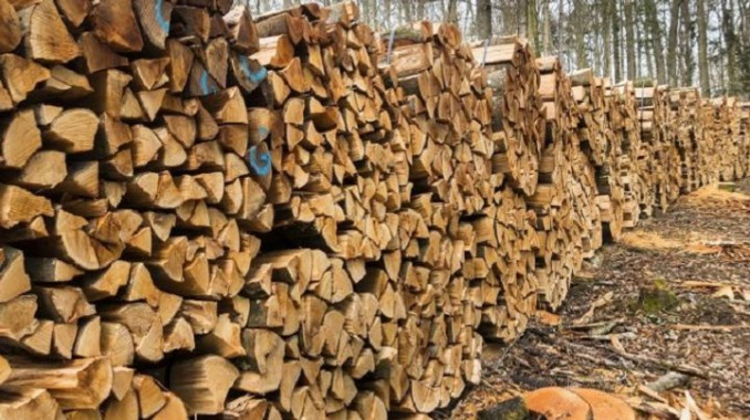 Для шкіл та садків Рокитного закупають дров майже на 1,3 млн гривень