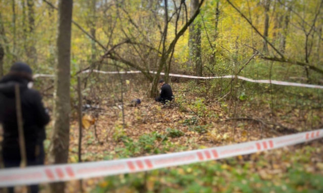 Біля Михайлівки-Рубежівки на Київщині виявили останки ще однієї вбитої рашистами людини