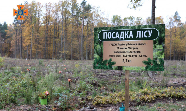 У Макарівському лісгоспі на Київщині висадили понад 21 тисячу молодих дерев (фото, відео)