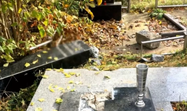 На Білоцерківщині викрили вандала, який понівечив близько 80 пам’ятників на цвинтарях (відео)