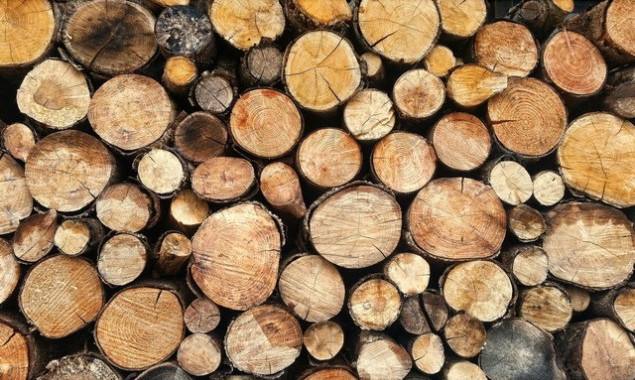 Біла Церква шукає постачальника дров за 15 млн гривень