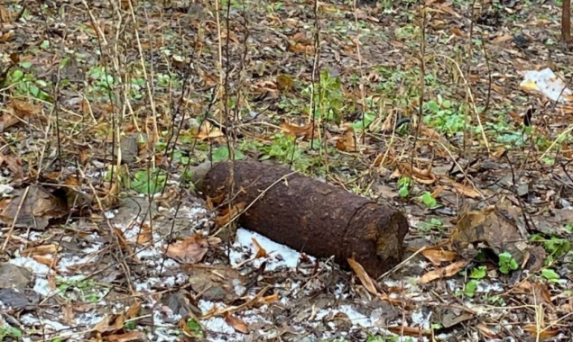 Мешканець столиці знайшов артилерійські снаряди часів Другої світової війни під час прогулянки з собакою
