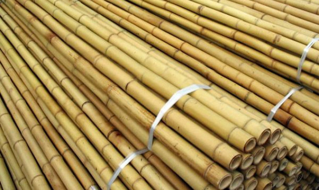 Оболонський УЗН придбав бамбукові опори для саджанців