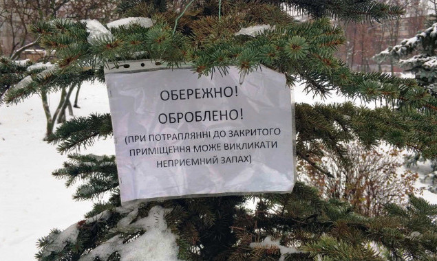 У Києві хвойні дерева обробляють репелентами, щоб убезпечити їх від незаконної вирубки