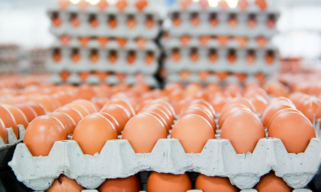 Школи Голосіївського району столиці закуповують півмільйона курячих яєць