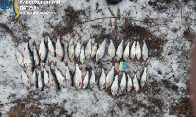 На річці Тетерів двоє браконьєрів наловили риби на 320 тисяч гривень