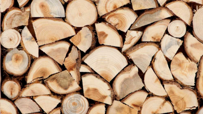 Для сіл Ірпінської громади закуплять дрова