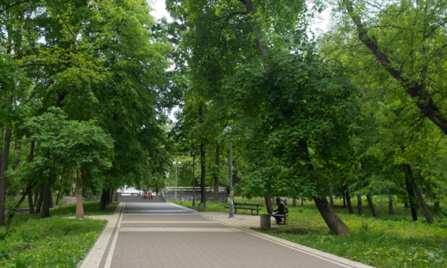 Університет КПІ витратить 1,33 млн гривень на озеленення