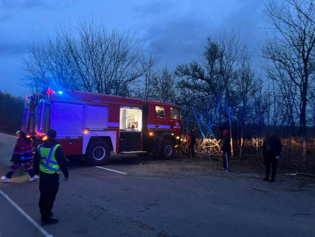 Біля села Оленівка внаслідок ДТП загинуло двоє людей, а 7-річна дитина травмувалась