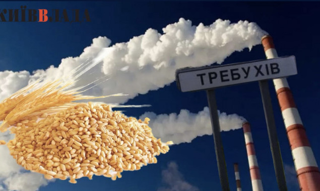 Люди проти зерна: страх перед роботою зернового підприємства змусив мешканців Требухова шукати допомоги в поліції