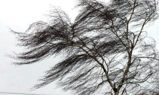 29 березня у Києві вирував рекордно швидкий як для цієї дати вітер