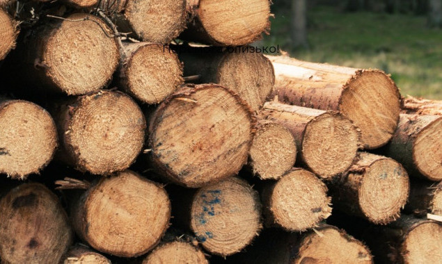 За незаконну рубку 38 дерев у Тетіївській громаді лісокористувач сплатить 260 тисяч гривень штрафу