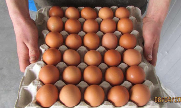 Національний інститут раку шукає постачальника яєць по 5,5 гривень за штуку