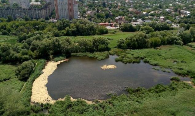 Територію парку відпочинку біля Cовських ставків планують передати “Київзеленбуду”