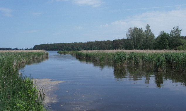Мер Ірпеня звинуватив бучанських чиновників у складній екологичній ситуації на річці Бучанка