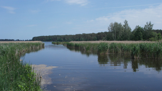 У Бучанській міськраді відповіли на звинувачення мера Ірпеня щодо створення складної екологічної ситуації на річці Буча