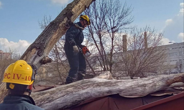 Співробітники КАРС “Київська служба порятунку" впродовж вихідних двічі прибирали аварійні дерева (фото)