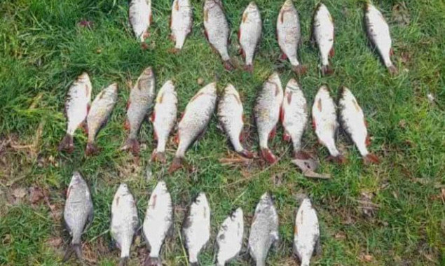 На Канівському водосховищі два браконьєри сітками наловили риби на 45 тисяч гривень
