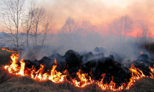 На вихідних у Києві та області прогнозують надзвичайний рівень пожежної небезпеки