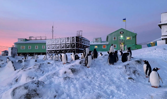 Інтернет-зв’язок на антарктичній станції “Академік Вернадський” обійдеться в 1,7 млн гривень
