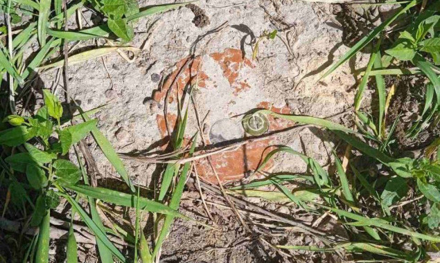 У Липівці Макарівської громади на узбіччі дороги виявили протитанкову міну