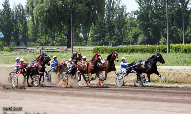 У неділю, 18 червня, на Київському іподромі проводяться змагання рисистих порід коней