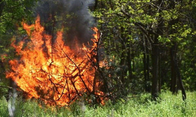 На Київщині попередили про пожежну небезпеку протягом найближчих двох днів 
