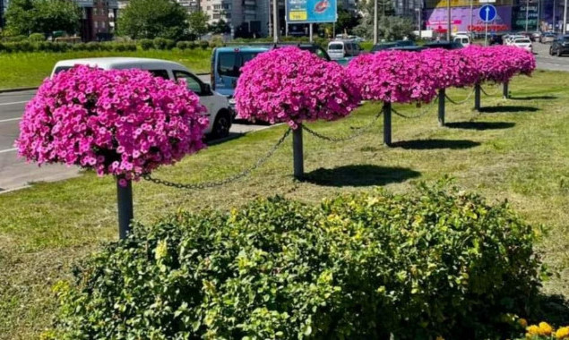 З початку року в Києві висадили майже 3 тисячі дерев, понад 20 тисяч кущів та мільйони квітів, - КМДА 