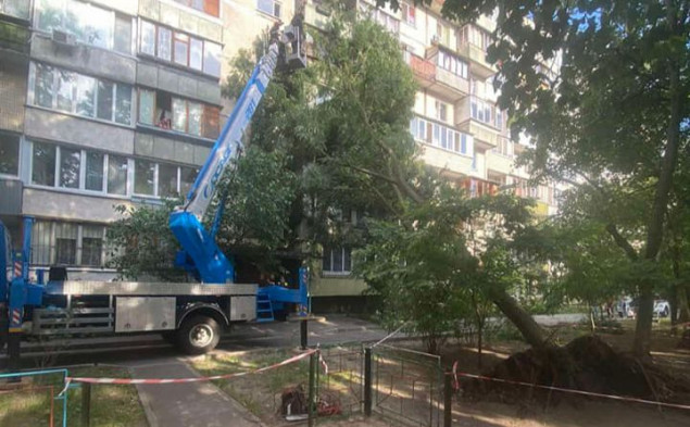 Рятувальники прибрали аварійне дерево в Оболонському районі, яке завалилося на дев`ятиповерхівку