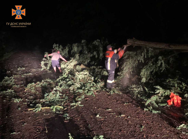 Через негоду на Київщині повалило дерева у трьох районах