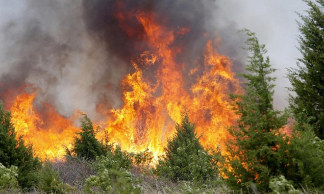 Мешканців Київщини попереджають про надзвичайний рівень пожежної небезпеки, – Укргідрометцентр 