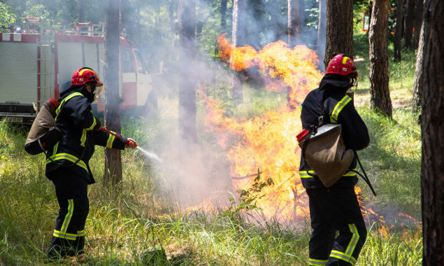 У Києві та області надзвичайний рівень пожежної небезпеки утримається до закінчення вихідних