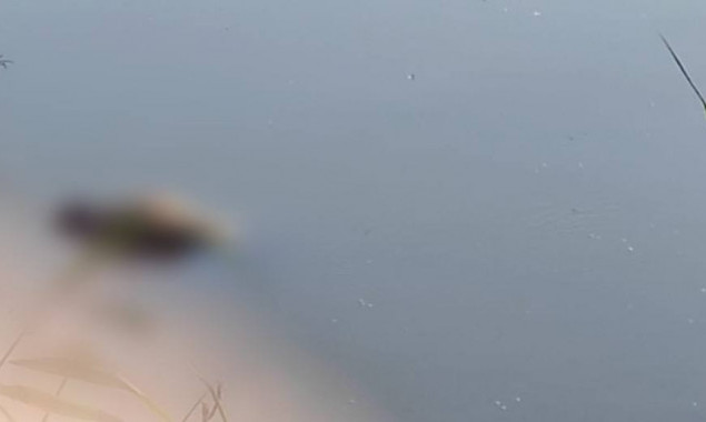 На Обухівщині діти виявили в озері тіло чоловіка