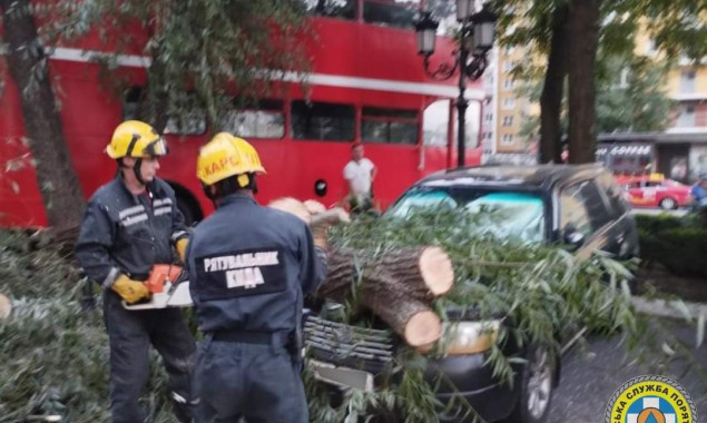 За добу столичні рятувальники прибрали 8 дерев, повалених через негоду (фото)