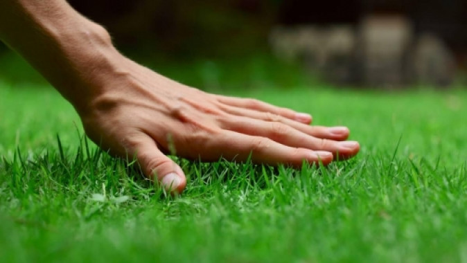 В Обухові вкладуть 180 тис. гривень в газонну траву для футбольних полів