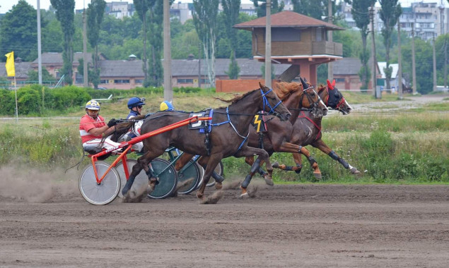 На Київському іподромі сьогодні пройдуть змагання 46 коней рисистих порід