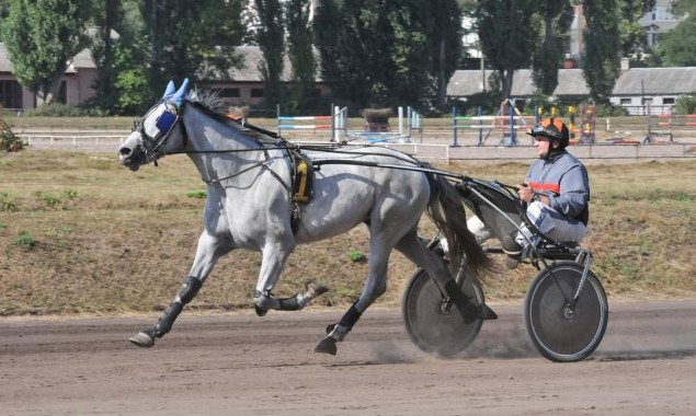 На Київському іподромі сьогодні пройдуть змагання 35 коней рисистих порід