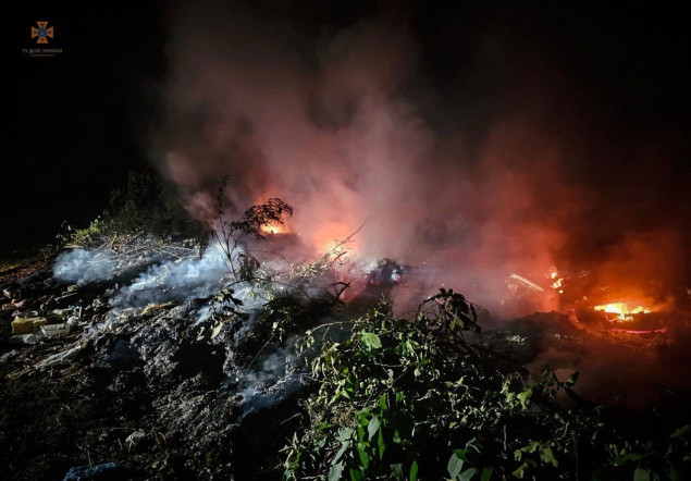 За вихідні на Київщині сталося 80 пожеж, одна людина загибла (фото)