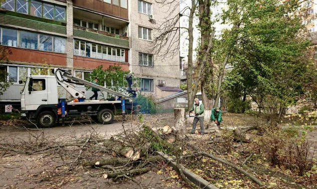 “Київзеленбуд” підрахував кількість повалених буревієм дерев