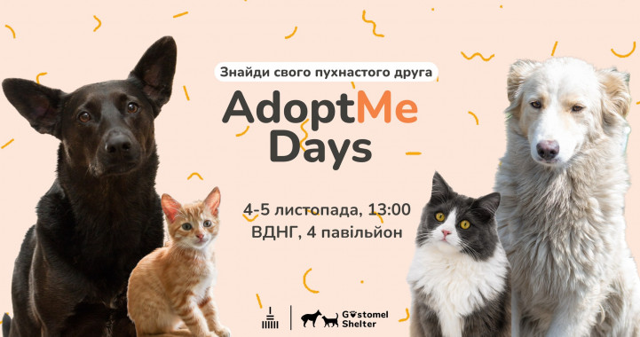 Гостомельський притулок для тварин запрошує на  “Adopt Me Days” 4-5 листопада на ВДНГ