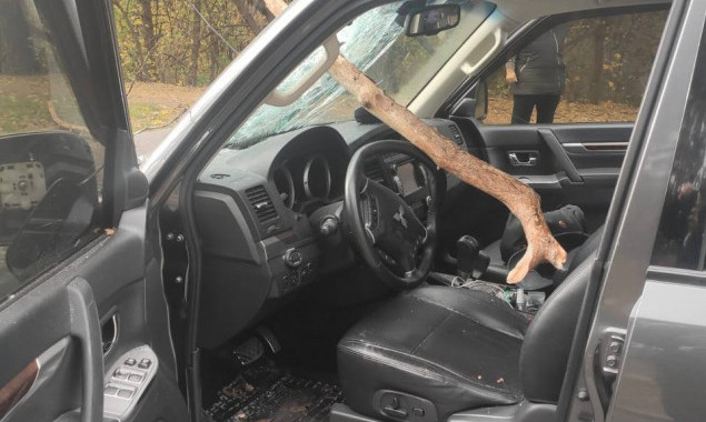 В Обухові на Київщині через падіння дерева сталася ДТП, постраждав водій (фото)