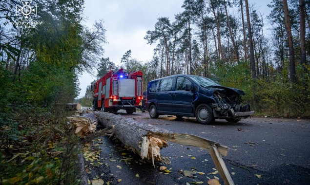 У столиці внаслідок негоди загинуло двоє людей, впало сотні дерев,- КМДА