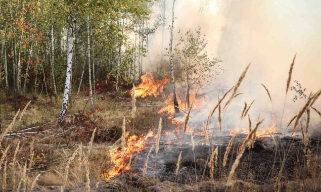 У Києві та області надзвичайний рівень пожежної небезпеки утримається до 7 жовтня