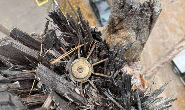 В Ірпені у кроні дерева на території медзакладу знайшли снаряд