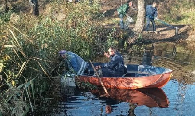 На озері Алмазне у Києві знайшли сотні невідомо від чого загиблих окунів