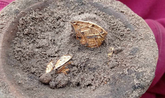 У території Білої Церкви науковці знайшли золото часів Гетьманщини (фото)